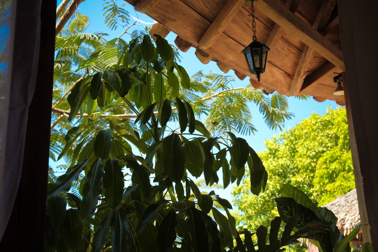 Hostal Trinidad Cuban